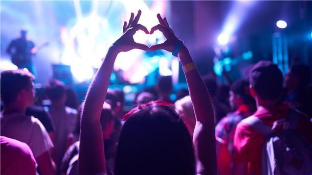 Menschen auf einem Konzert.