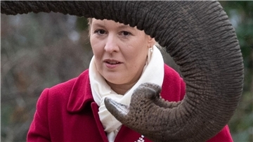 Berlins Regierende Bürgermeisterin Franziska Giffey (SPD) füttert im Zoo einen Elefanten.