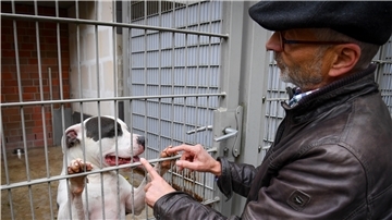 Bernd Schomaker, Leiter des Tierheims Bremerhaven, mit American Staffordshire „Hektor“.