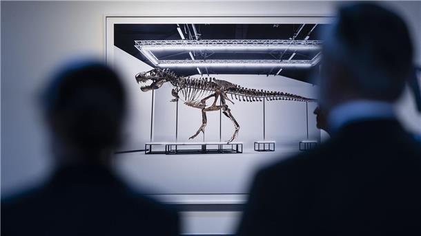 Besucher betrachten das T. rex-Skelett in Zürich.