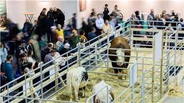 Besucher gehen am letzten Tag der Internationalen Grünen Woche durch die Tierhalle.