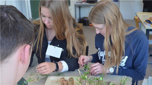 Gesamtschule Tarmstedt recycled gegen Verschwendung