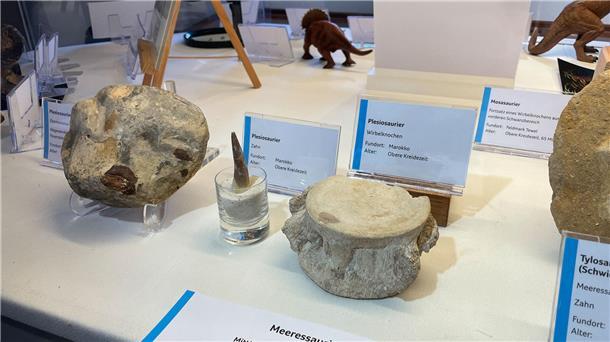 Ausstellungsstücke einer Sonderausstellung