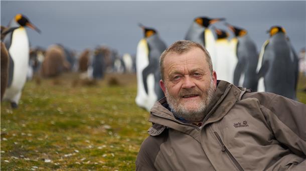 Pinguinforscher: Leben unter schrägen Vögeln