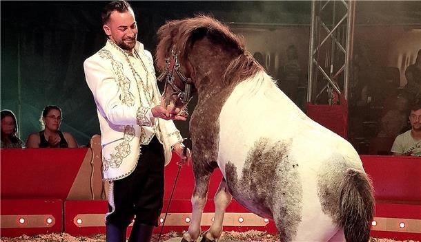 Circus Fantastico