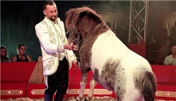Circus Fantastico