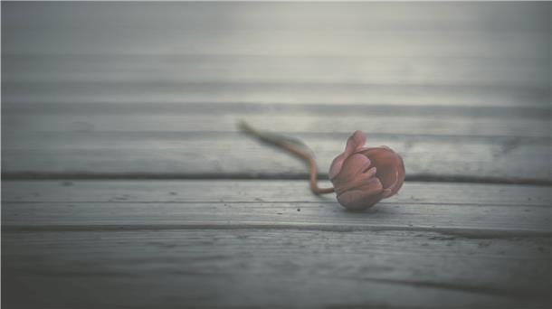 Das Leben mit dem Tod Das Leben mit dem Tod