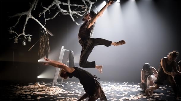 Bildgewaltiges Ballett zum Staunen Bildgewaltiges Ballett zum Staunen