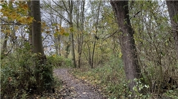 Strandwald in Nordenham
