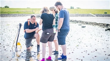 Liebesrausch im Wattenmeer