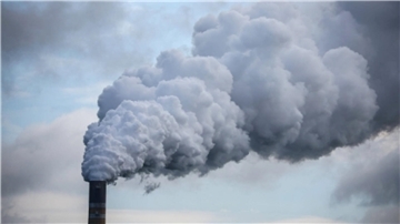 Wissing verteidigt klimaschädliche Subventionen