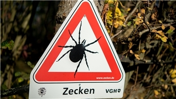 Zecken: Kleine Sauger, schwere Folgen