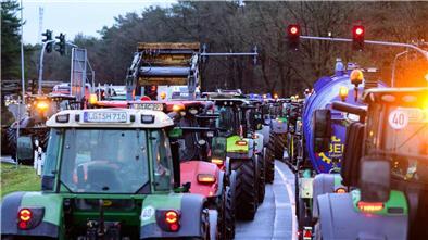 Bauernproteste: Darum schneiden sich die Landwirte ins eigene Fleisch Bauernproteste: Darum schneiden sich die Landwirte ins eigene Fleisch