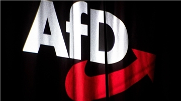 Kommentar: Eine schwere Niederlage für die AfD