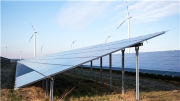 Kleine Geschenke erhalten die Freundschaft oder: Rohrdommeln müssen auswandern Solarpark und Windräder