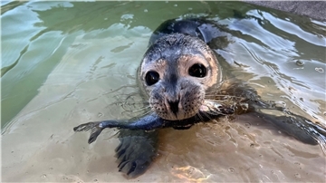 Besuch bei Paten-Tier „Fussel“ – Gewinner aus Bremerhaven