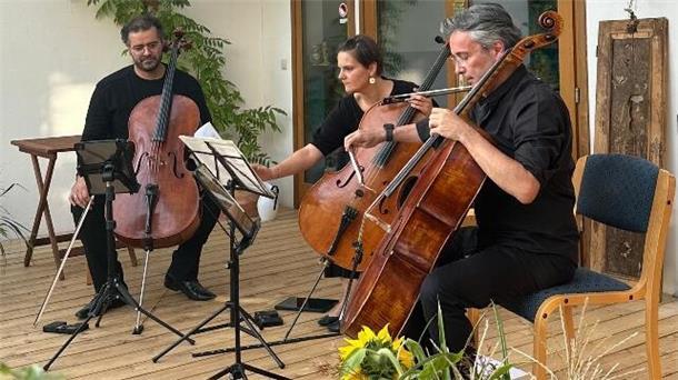 Große Kunst auf kleiner (Glashaus-)Bühne Cello-Konzert des Sponte Trios Bremen im Glashaus Dorum