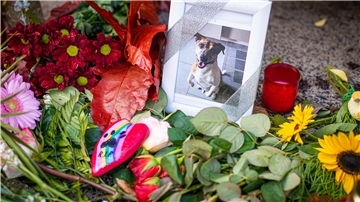 Blumen und ein Foto auf einer Straße 