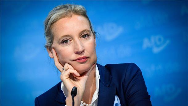 Kolhoffs Sicht: Alice Weidel in Grimms Märchenwald