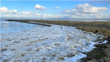 Eis an der Butjadinger Küste