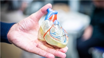 Projekt “Beating Heart“: Ihr Herz schlägt für Tiere