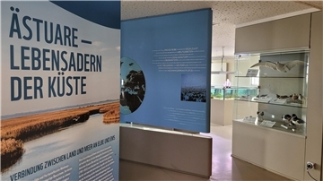 Lebensraum Elbe und Ems: Sonderausstellung im Nationalpark-Haus Wurster Nordseeküste in Dorum-Neufeld.
