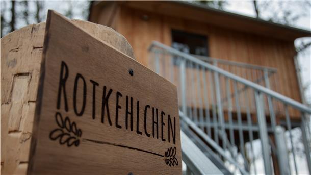 Zwischen den Bäumen träumen