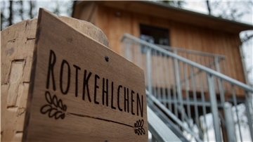 Zwischen den Bäumen träumen