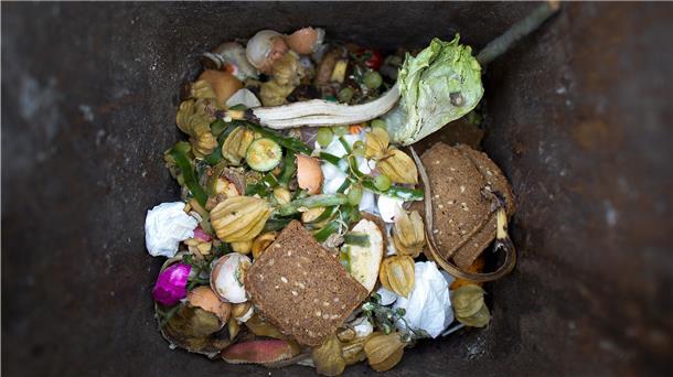 Tonnenweise Essen im Müll