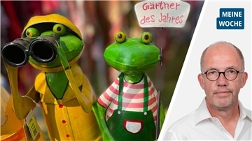 Lustige Blechfrösche schauen in die Kamera. Sie standen bei der Landpartie „Garten & Ambiente" in Nordenham, für die jetzt ein neuer Ort gesucht werden muss, zum Verkauf. 