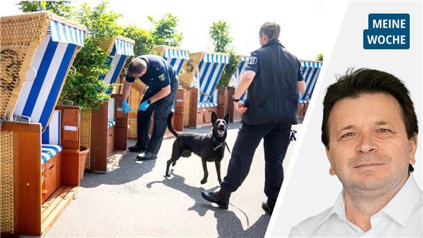 Polizeihunde schnüffeln vor der Innenministerkonferenz in Bremerhaven an Strandkörben