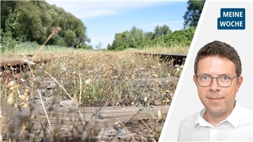 Die Collage zeigt links eine stillgelegte Bahnstrecke und rechts Redakteur Timo Kühnemuth.