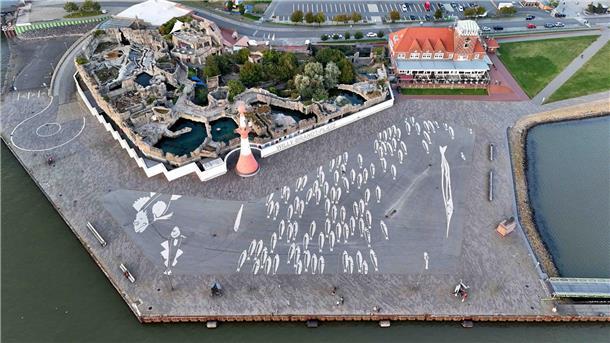 Street-Art von oben: Sicht auf Bremerhavens Fische