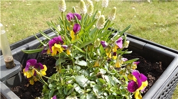 Startschuss für die Gartensaison