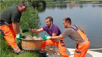 Therapie für den Seenpark