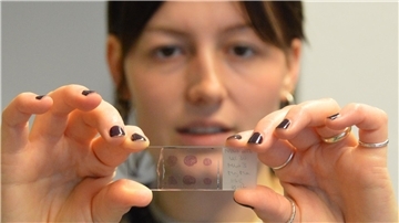 Biologin Romina Schuster erforscht am Alfred-Wegener-Institut in Bremerhaven die Auswirkungen von Kriegsmunition auf das Meer.