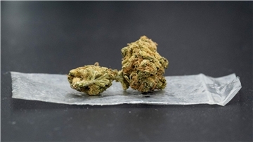 Bis zu 25 Gramm Cannabis sollen künftig erlaubt sein.