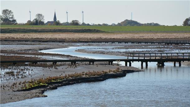 Langwarder Groden