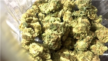 Bis zur Volljährigkeit soll Cannabis nach dem geplanten Gesetz verboten bleiben.