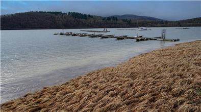 Winter pausiert - stattdessen windig und wechselhaft Bis zur Wochenmitte wird es vielerorts windig.