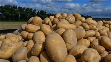 Bisher haben Bio-Landwirte in Niedersachsen 2023 weniger Ökoflächen-Prämie beantragt als in den Jahren zuvor.