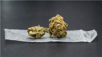 Bisherige Studien hatten bereits gezeigt, dass Cannabiskonsumstörungen mit schweren psychischen Erkrankungen einhergehen können.