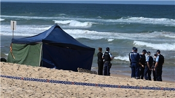 Bissspuren deuten darauf hin, dass der Surfer Opfer eines Weißen Hais wurde.