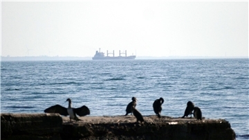Blick auf das Schwarze Meer vom Hafen in Odessa. (Symbolbild)