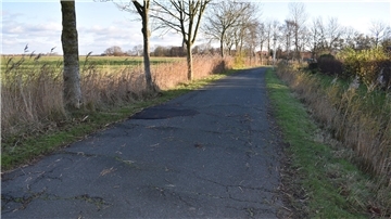 Blick auf den etwa 500 Meter langen Abschnitt der Straße „Am Friesenkirchhof“ in Langwarden, wo die Fahrbahn viele starke Rillen infolge hochdrückender Baumwurzeln aufweist.