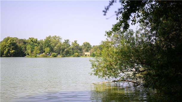 Badeseen in Niedersachsen wegen Blaualgen gesperrt Blick auf den Großen Teich der Ricklinger Kiesteiche. Die Region Hannover hat für das Gewässer wegen erhöhter Konzentration von Blaualgen ein Badeverbot ausgesprochen.