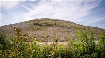 Blick auf den Tunnelberg in Leherheide. Wo jetzt noch Unkraut sprießt, wird im Frühjahr eine mit dem Gartenbauamt abgestimmte Bepflanzung vorgenommen.