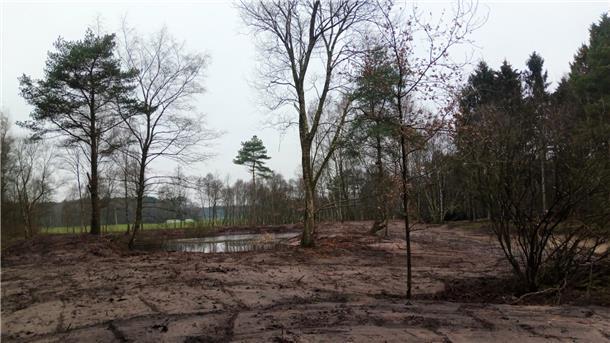 Blick auf die hergerichtete Fläche in Twistenbostel.