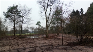 Blick auf die hergerichtete Fläche in Twistenbostel.