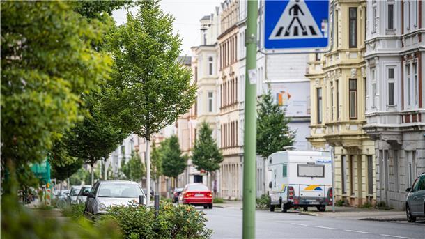 Blick in die Rickmersstraße mit jungem Baumbestand und aufgefrischter Verkehrsführung: Die neue Grünflächenstrategie der Stadt wirkt bereits.
